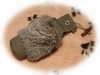 Konijnendummy met half vel 1000 gram Mystique