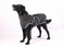 Hondenbadjas ChillCoat Classic + Pet-Towel (45x66 cm)